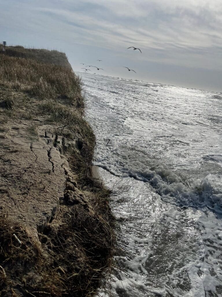 An eroded, steeply cut dune system looking toward the south end of the Bypass Road near Cape Point.