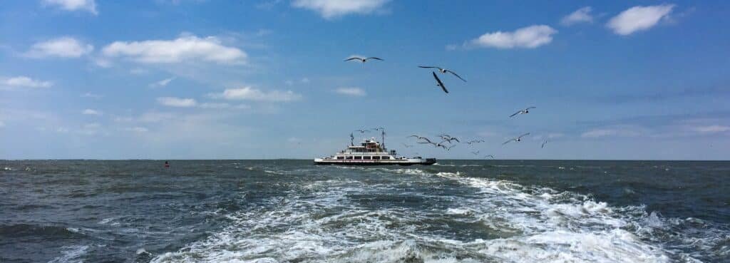 Gulls trailing a state ferry as it crosses the inlet between Hatteras and Ocracoke islands.