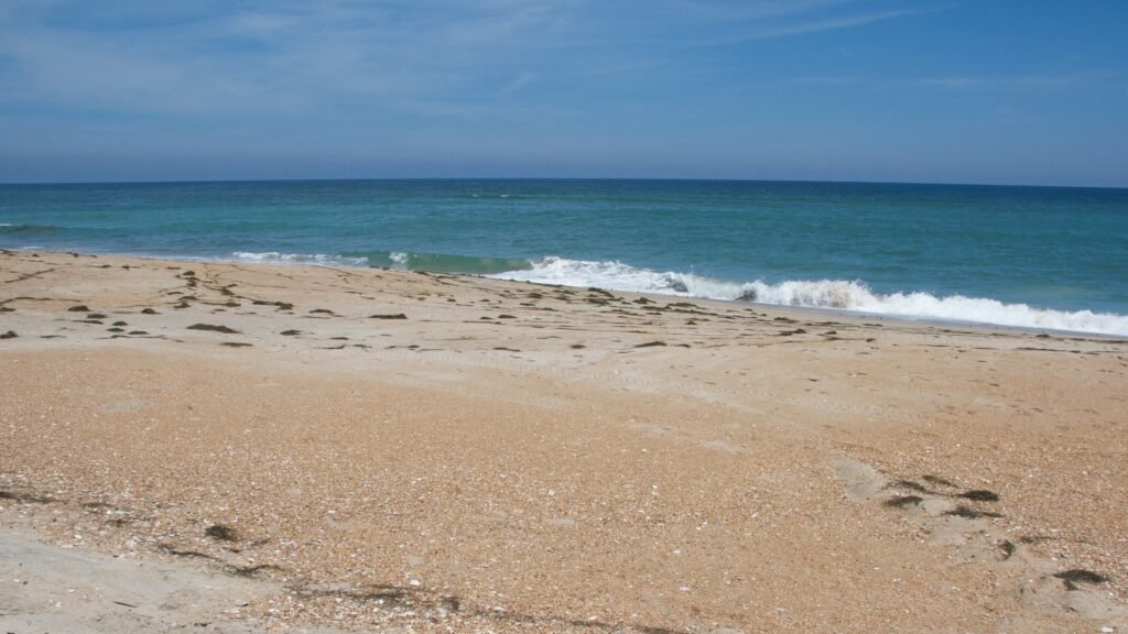 A wide, empty stretch of beach with shorebirds gathered near the surf line at Cape Hatteras National Seashore.