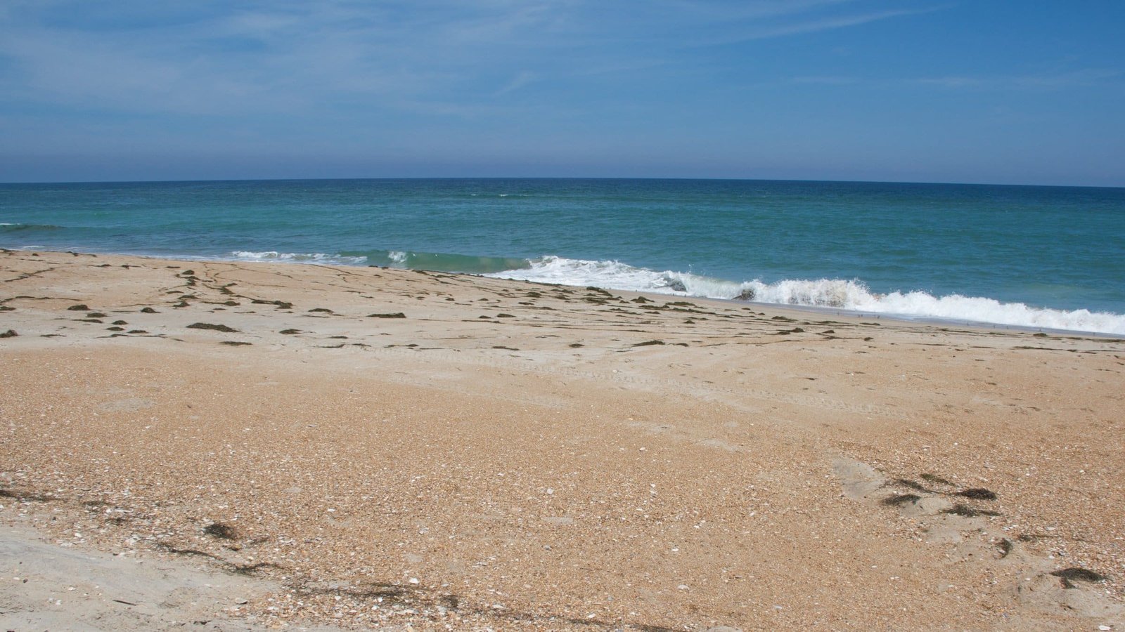 A wide, empty stretch of beach with shorebirds gathered near the surf line at Cape Hatteras National Seashore.
